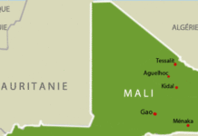 Des avions militaires russes à Gao en provenance de Libye