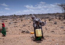 La sécheresse a tué 43000 Somaliens l’an dernier
