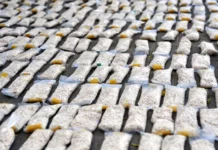 L’Iran et le Hezbollah ont transformé la Syrie en narco-État