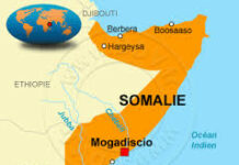 L’effondrement de la piraterie somalienne