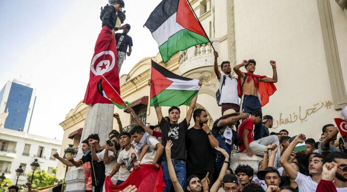 L’affaire insensée du « complot » contre l’État jugée en appel à Tunis ce lundi