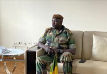 Mordu par un serpent, le chef de la sécurité d’Etat du Mali évacué en Turquie