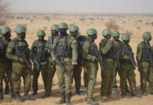 Des exercices militaires internationaux au Niger…sans la France
