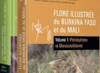 le fabuleux trésor végétal du Burkina Faso et du Mali