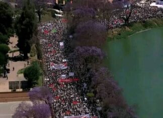 Le rôle des réseaux sociaux dans la crise de Madagascar 2025