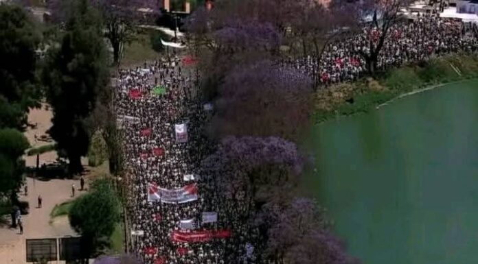 Le rôle des réseaux sociaux dans la crise de Madagascar 2025