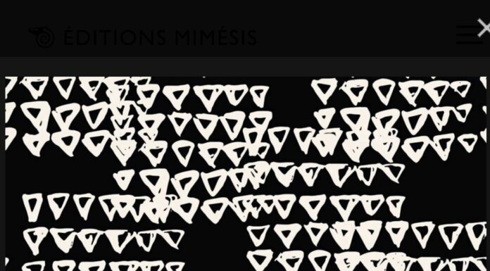 Lazare Ki-Zerbo explore les trajectoires intellectuelles entre Afrique et diaspora