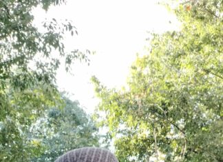 Maurice Beranto: un calme trompeur à Madagascar