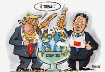 La COP30 du 6 au 21 novembre 2025 au Brésil