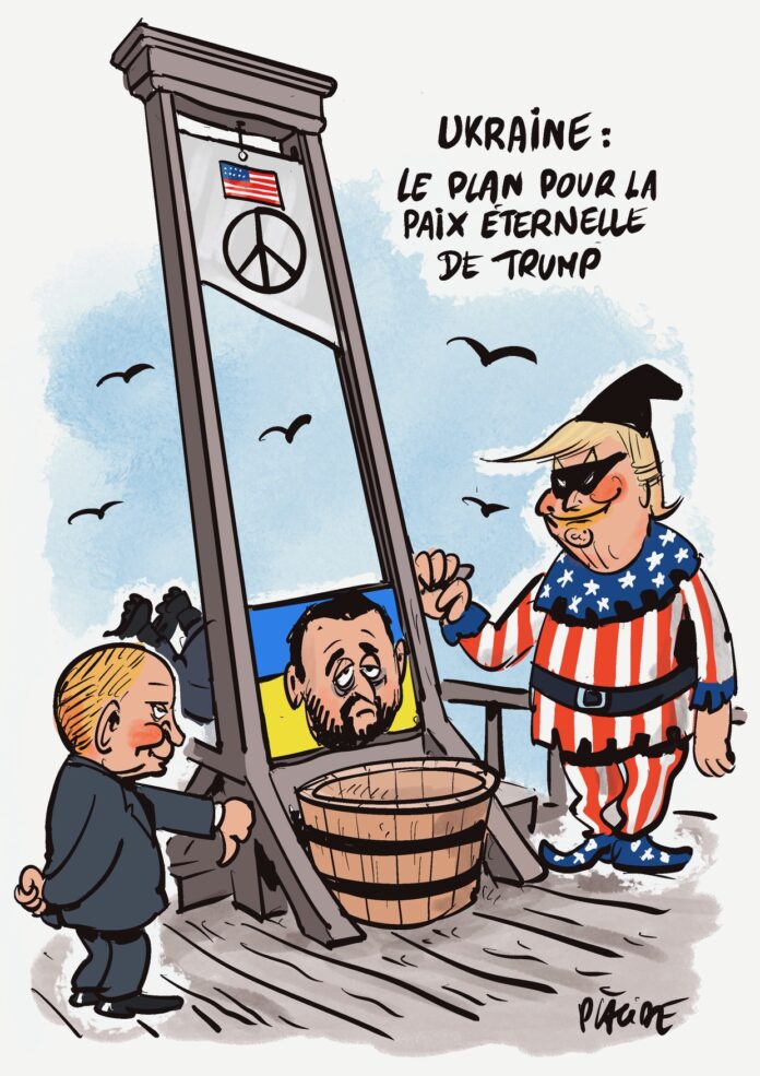 Illustration_sans_titre (27)