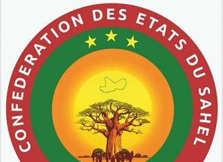 Sahel, la résistance des juntes militaires s’amenuise