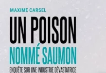 Les désastres causés au Sénégal par l’élevage intensif du Saumon