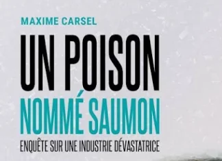 Les désastres causés au Sénégal par l’élevage intensif du Saumon