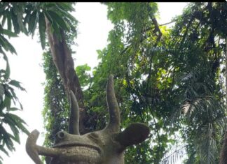 Bénin, la ville de Ouidah entre vodou et mémoire de l’esclavage