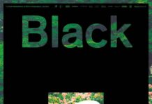 Black Movie, le monde en écran(s) à Genève (16–25 janvier)