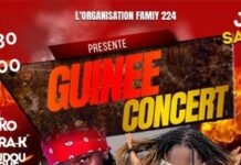 Guinée-Concert à Marseille, la scène guinéenne en fête (3 janvier)