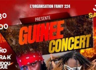 Guinée-Concert à Marseille, la scène guinéenne en fête (3 janvier)
