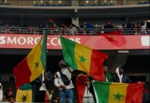 CAN, Sénégal : « le roman d’une passion nationale »