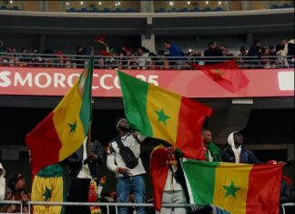 CAN, Sénégal : « le roman d’une passion nationale »