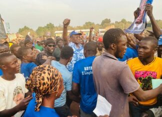 La Centrafrique s’achemine vers le despotisme