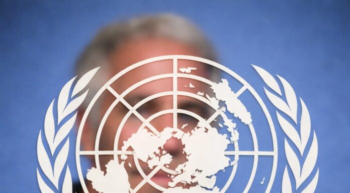 Comment l’ONU a été infiltrée par Epstein