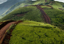 L’Afrique francophone championne de la croissance