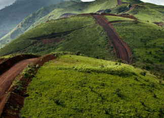 L’Afrique francophone championne de la croissance