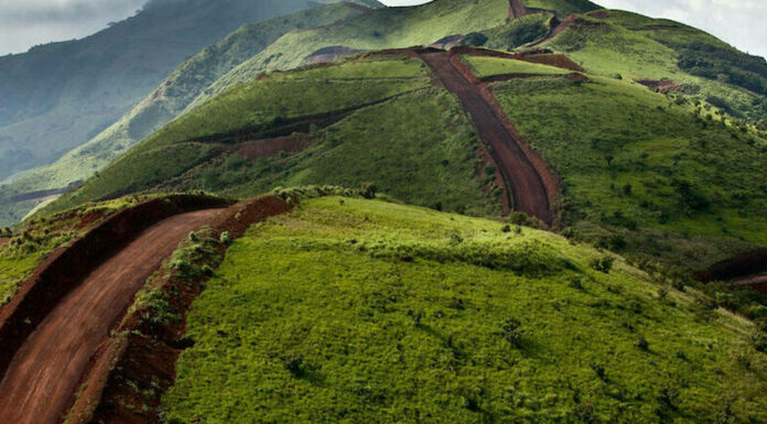 L’Afrique francophone championne de la croissance