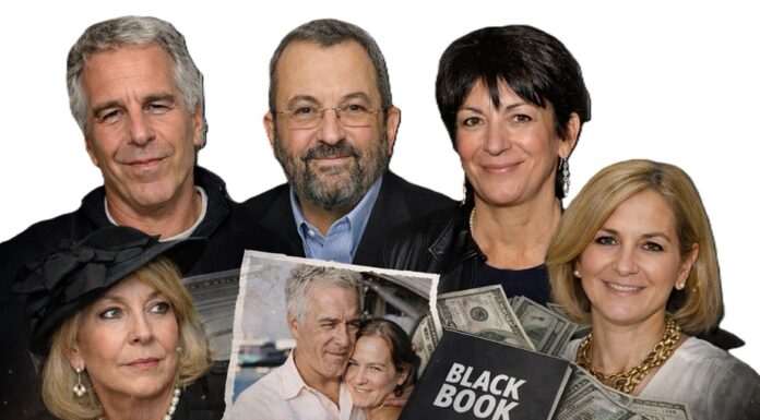 Série Epstein-Afrique (1) : la nausée mondialisée