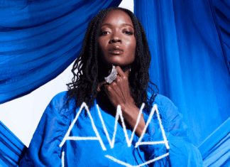 Awa Ly : « Les éléments existent aussi en nous »