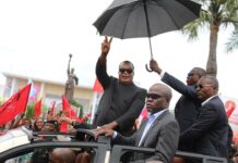 Pas d’extinction pour les dinosaures