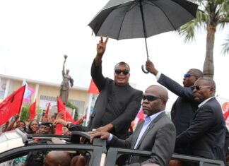 Pas d’extinction pour les dinosaures