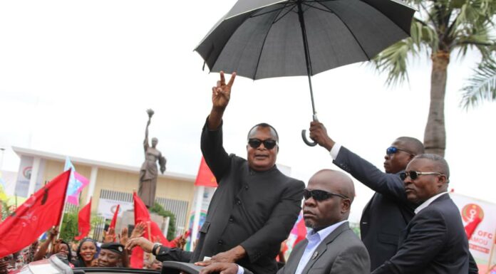 Pas d’extinction pour les dinosaures