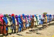 Le Mali libère plus de 250 djihadistes