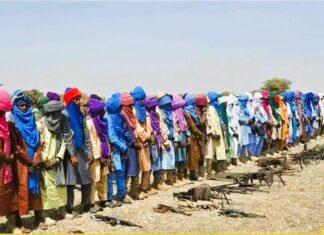 Le Mali libère plus de 250 djihadistes