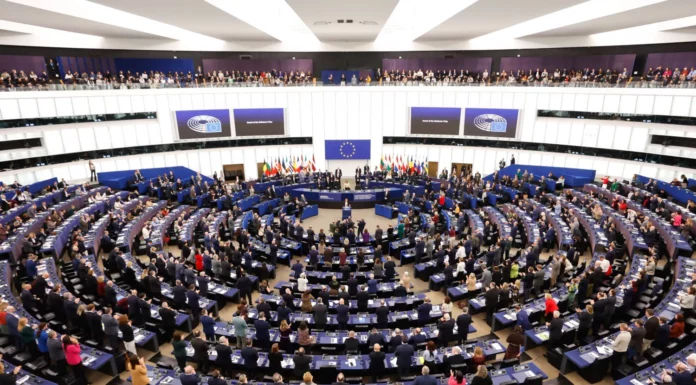 Niger. Quand Strasbourg crucifie Bazoum en voulant le défendre