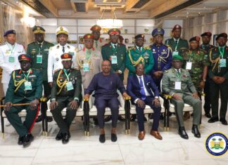 La force armée de la Cedeao toujours virtuelle