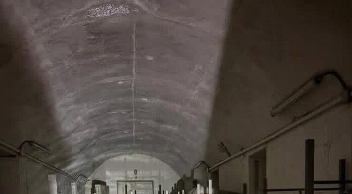 Israël rase un réseau de tunnels du Hezbollah au Sud-Liban