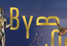 Notre semaine culturelle est consacrée à l’exposition « Byblos, cité millénaire du Liban » à l’IMA