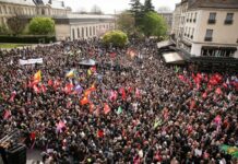 Fachos de tous bords, les grands singes vous emm…