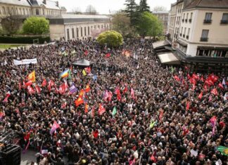 Fachos de tous bords, les grands singes vous emm…