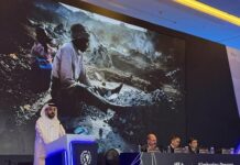 Diamants d’Afrique : l’Inde profite de l’affaiblissement de Dubaï