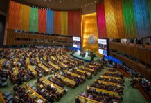 Afrique. « Les Objectifs de développement durable ne sont pas un cadre sérieux »