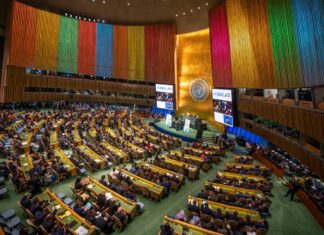 Afrique. « Les Objectifs de développement durable ne sont pas un cadre sérieux »