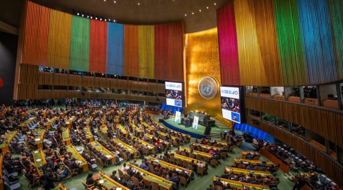 Afrique. « Les Objectifs de développement durable ne sont pas un cadre sérieux »