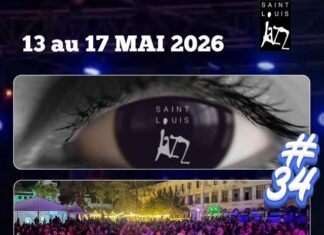 Notre semaine culturelle débute avec Tinariwen en concert à Paris